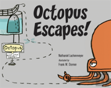 Octopus Escapes!