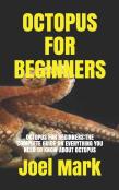 Octopus For Beginners