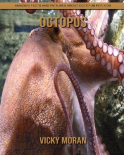 Bertrand.pt - Octopus
