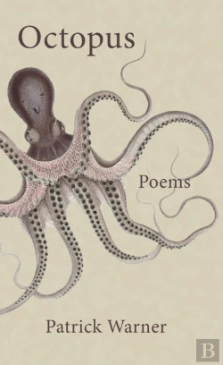 Bertrand.pt - Octopus