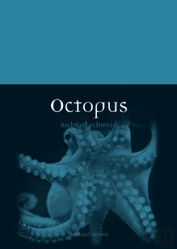 Bertrand.pt - Octopus