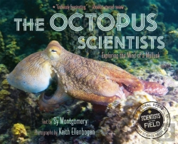 Bertrand.pt - Octopus Scientists