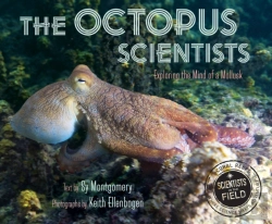 Bertrand.pt - Octopus Scientists