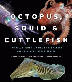Bertrand.pt - Octopus, Squid, And Cuttlefish