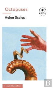 Octopuses: A Ladybird Expert Book