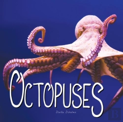 Bertrand.pt - Octopuses