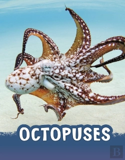 Bertrand.pt - Octopuses
