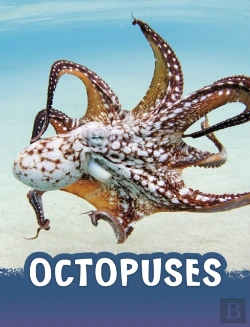 Bertrand.pt - Octopuses