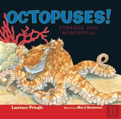 Bertrand.pt - Octopuses!