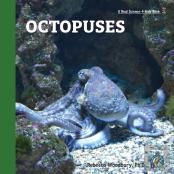 Octopuses