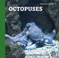 Bertrand.pt - Octopuses