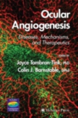 Bertrand.pt - Ocular Angiogenesis