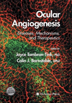 Bertrand.pt - Ocular Angiogenesis