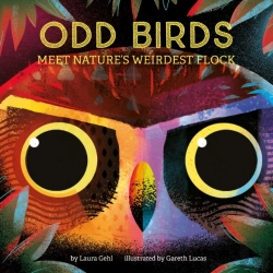 Bertrand.pt - Odd Birds