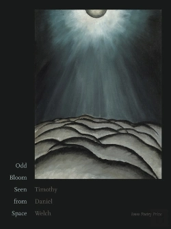 Bertrand.pt - Odd Bloom Seen From Space
