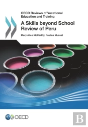 Oecd Reviews Of Vocational Education And Training A Skills Beyond School Review Of Peru