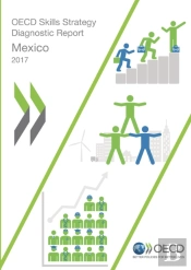 Oecd Skills Studies Oecd Skills Strategy Diagnostic Report: Mexico 2017