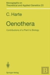 Oenothera