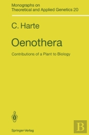 Oenothera