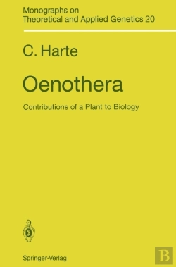 Bertrand.pt - Oenothera