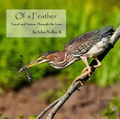 Of A Feather