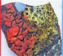 Of Colour In Craft