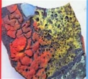Of Colour In Craft