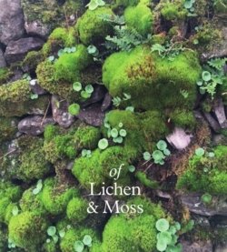 Bertrand.pt - Of Lichen & Moss