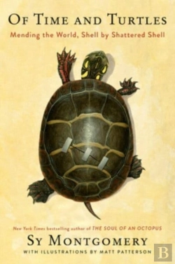 Bertrand.pt - Of Time And Turtles