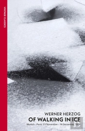 Of Walking In Ice