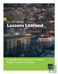 Office Of The Special Project Facilitator'S Lessons Learned
