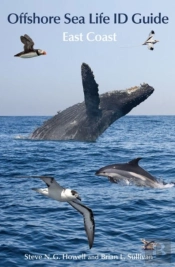 Offshore Sea Life Id Guide