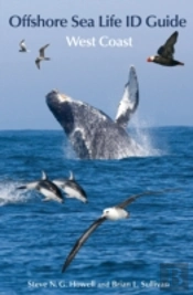 Offshore Sea Life Id Guide
