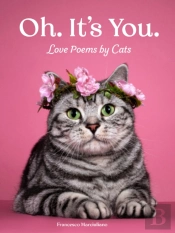 Oh. It'S You.