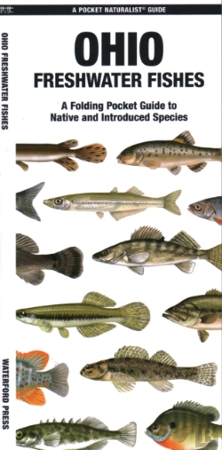 Bertrand.pt - Ohio Freshwater Fishes