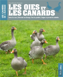 Bertrand.pt - Oies Et Canards