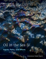 Oil In The Sea Iv