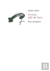 Oiseau Ailé De Lacs