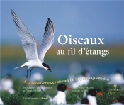 Oiseaux Au Fil D'Étangs ; À La Découverte Des Oiseaux Du Littoral Languedocien