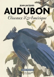 Oiseaux D'Amérique