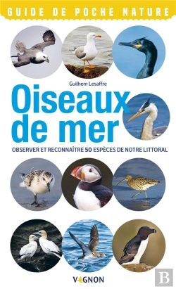 Bertrand.pt - Oiseaux De Bord De Mer ; Observer Et Reconnaître 50 Espèces De Notre Littoral