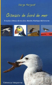 Oiseaux De Bord De Mer