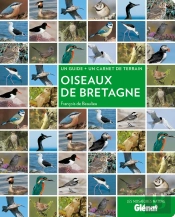 Oiseaux De Bretagne