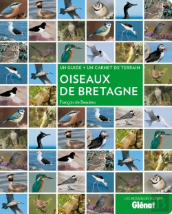 Bertrand.pt - Oiseaux De Bretagne