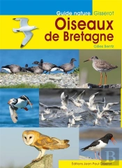 Oiseaux De Bretagne