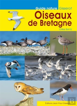Bertrand.pt - Oiseaux De Bretagne