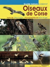 Oiseaux De Corse