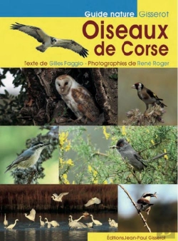 Bertrand.pt - Oiseaux De Corse