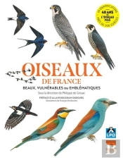 Oiseaux De France. Beaux, Vulnérables Ou Emblématiques