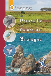 Oiseaux De La Presqu'Ile De Crozon Et De La Pointe Bretagne